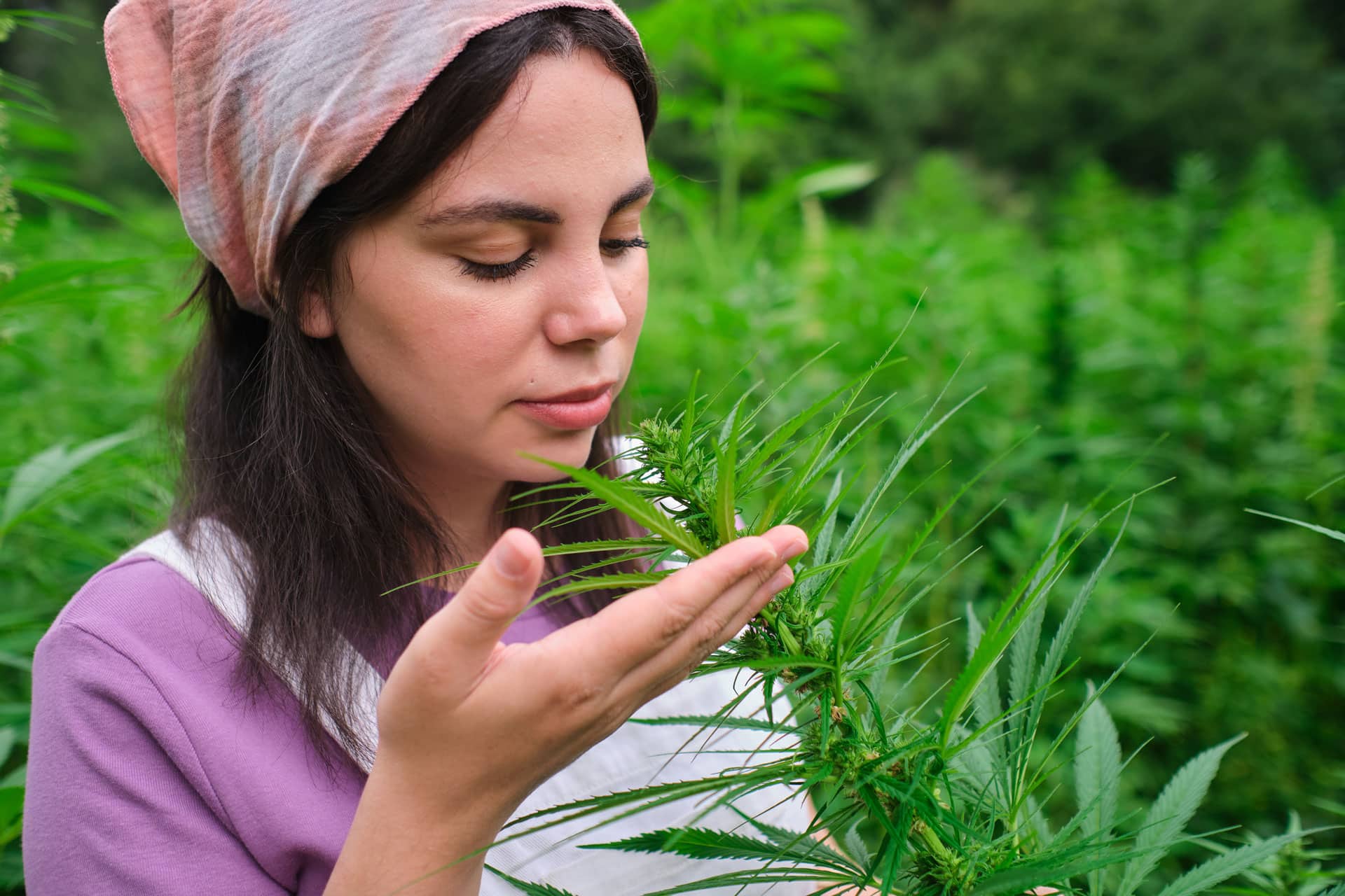 woman smelling cannabis