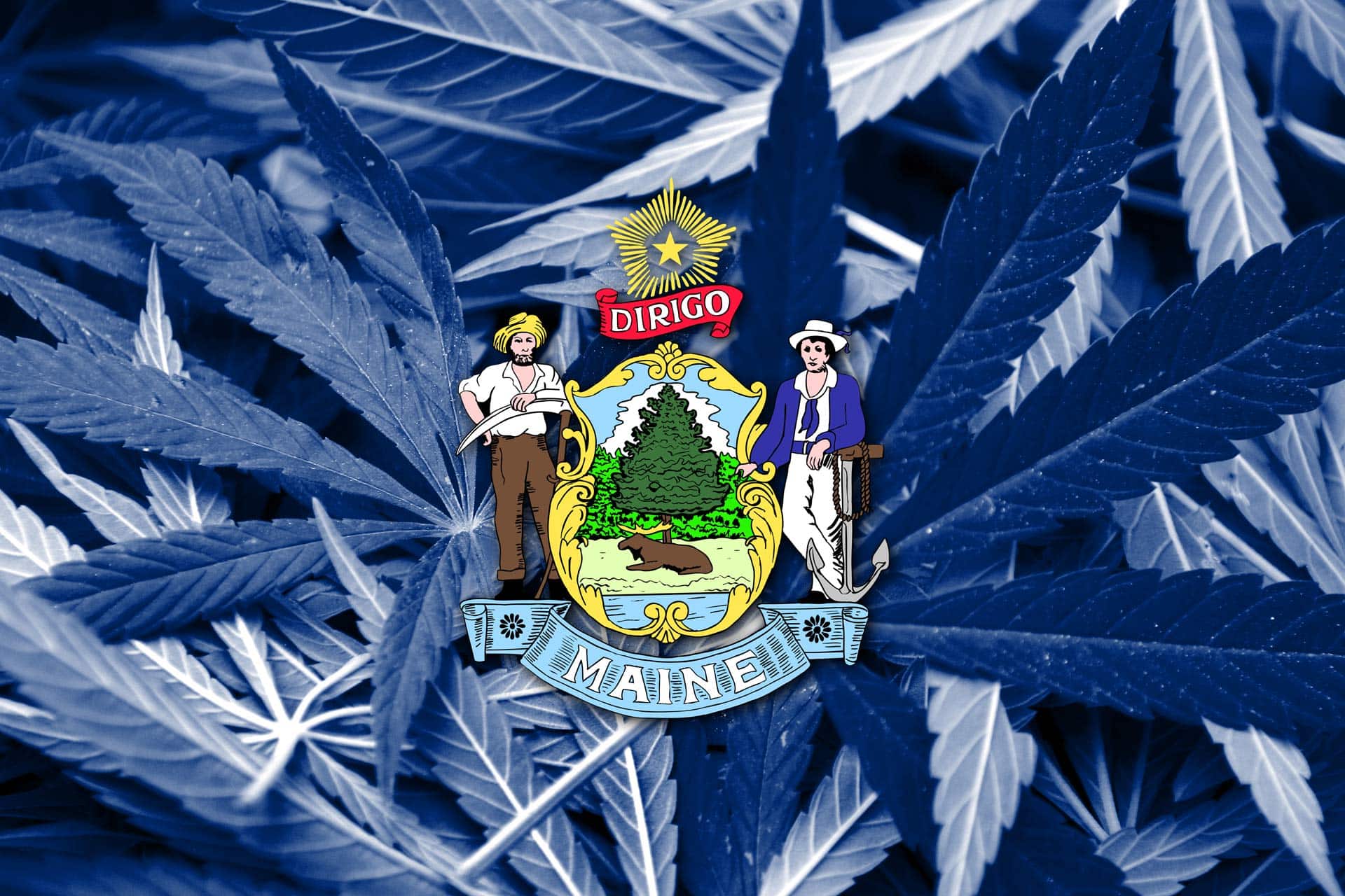 cannabis in Maine