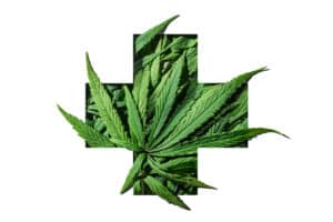 Renewing Your Medical Marijuana Card in Maine